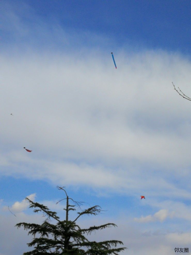 太阳宫公园放风筝图片